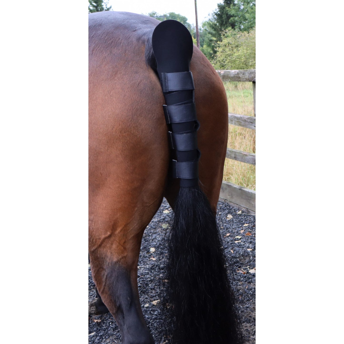 Neoprene Tail Guard With Velcro Fastenings