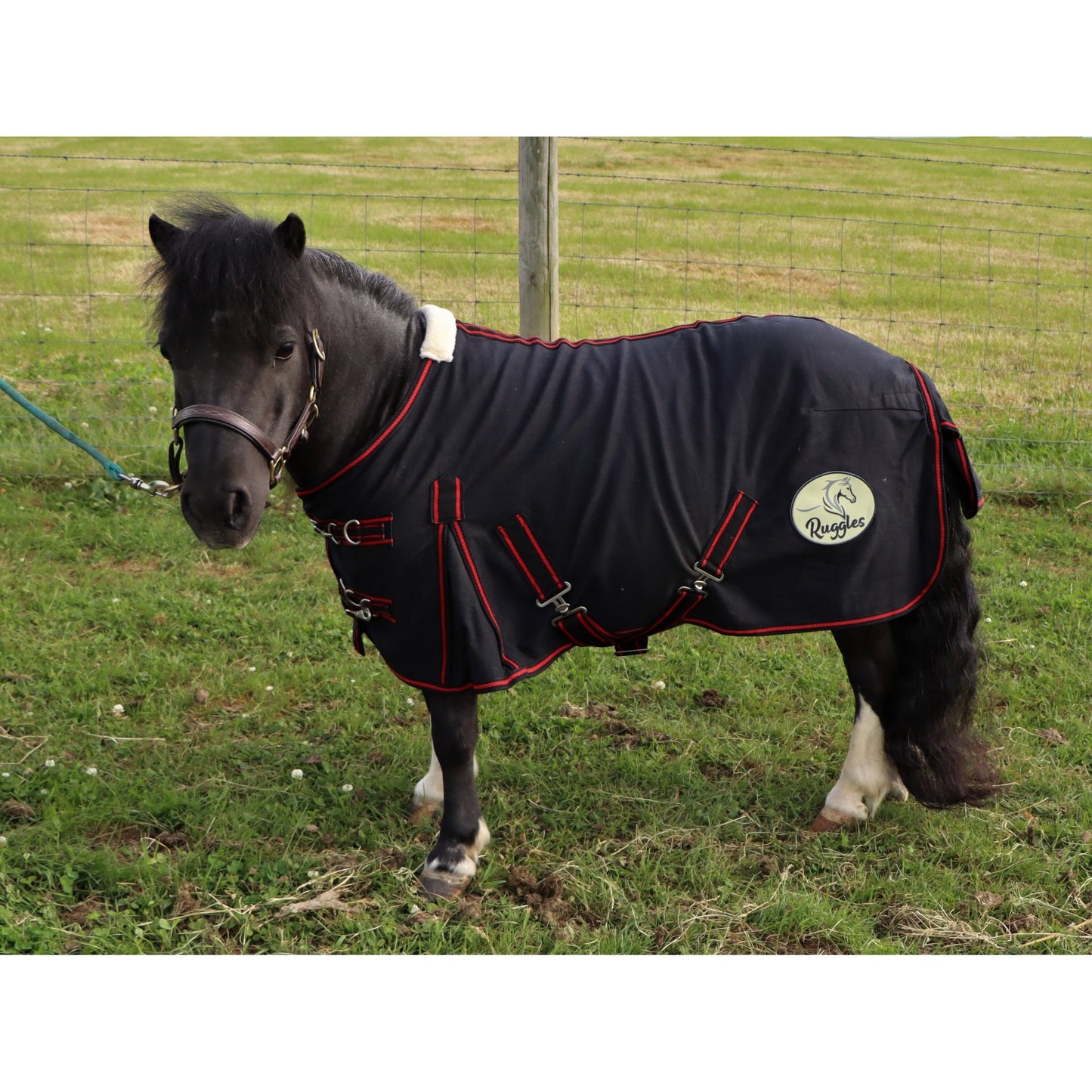 Shetland-Miniature-Donkey 100% Cotton Sheet