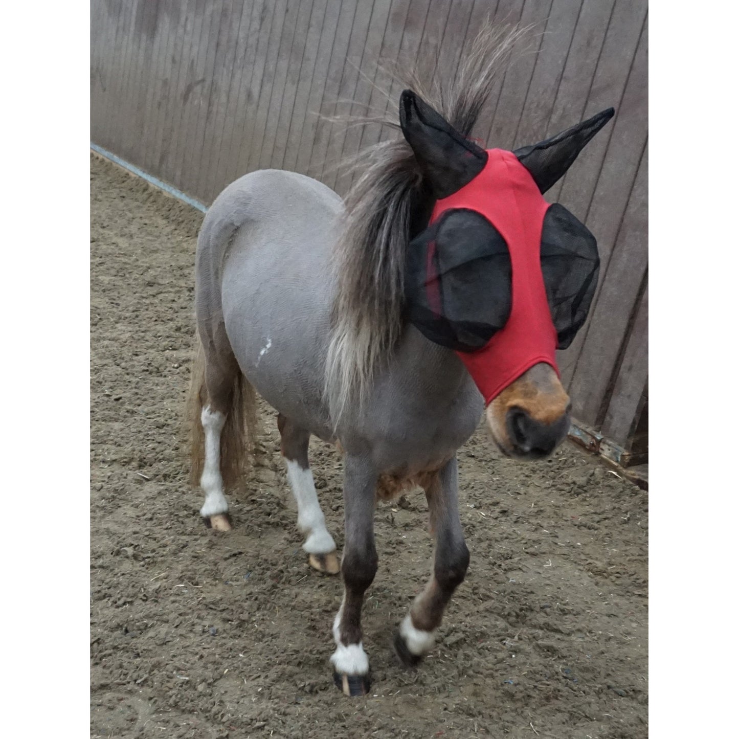 Shetland-Miniature-Section A Pull On Fly Mask With Ears