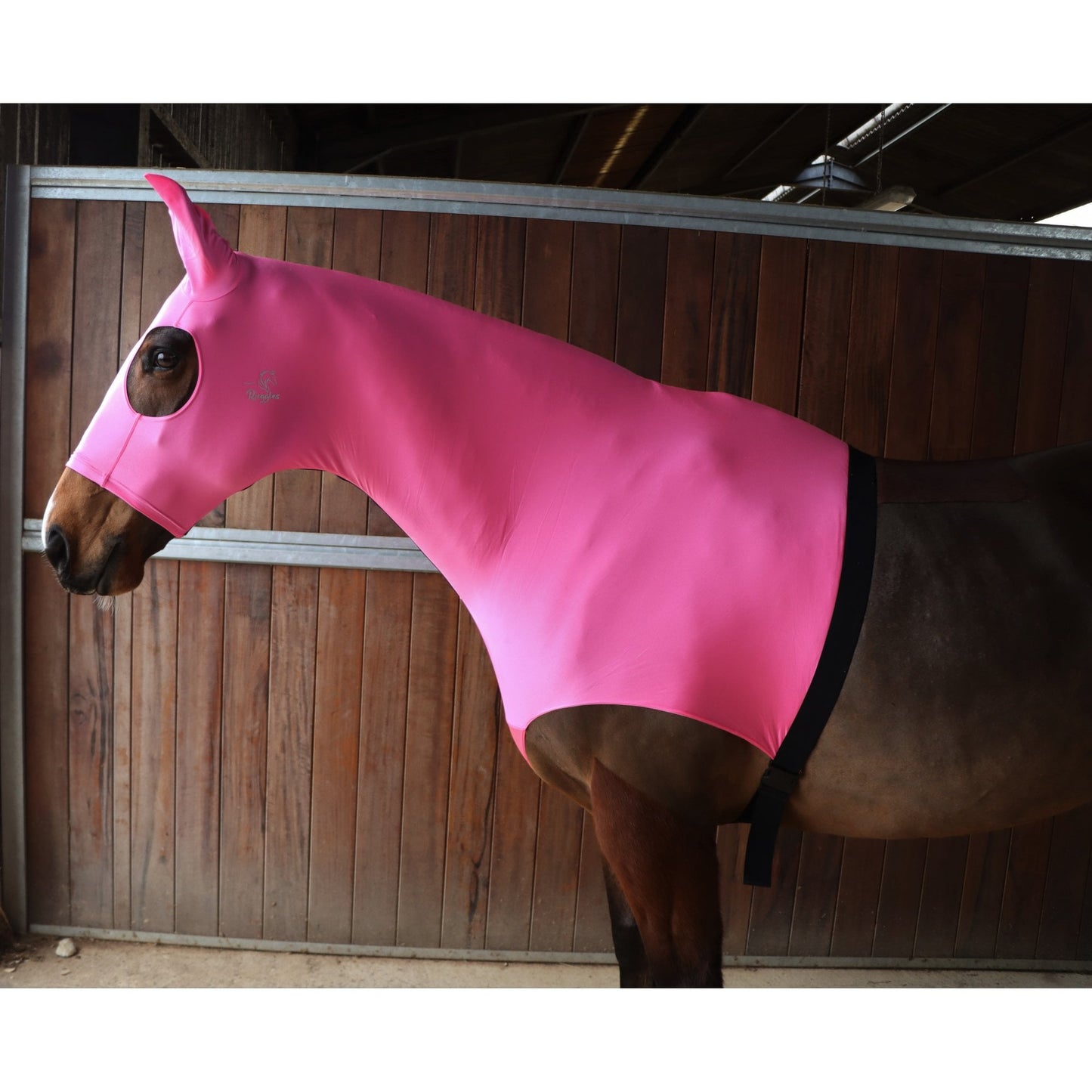 Lycra Hood With Zip Available With Or Without Ears