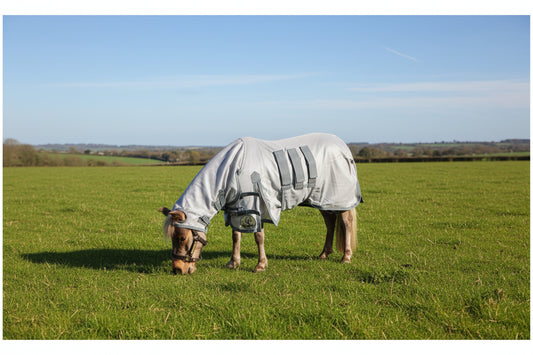 Shetland-Miniature Combo Fly With Ear Holes