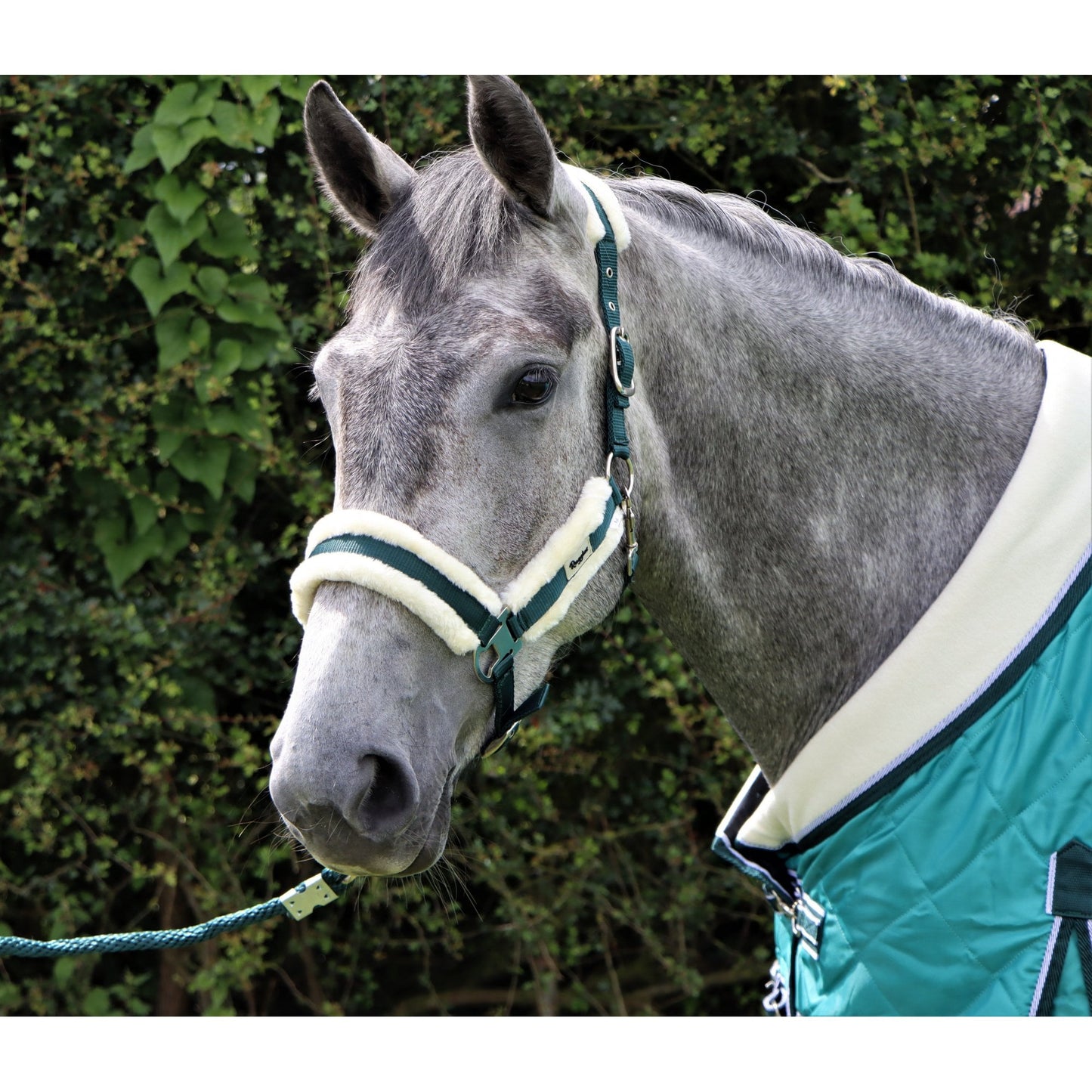 Fully Adjustable Head Collar With Contrast Fur