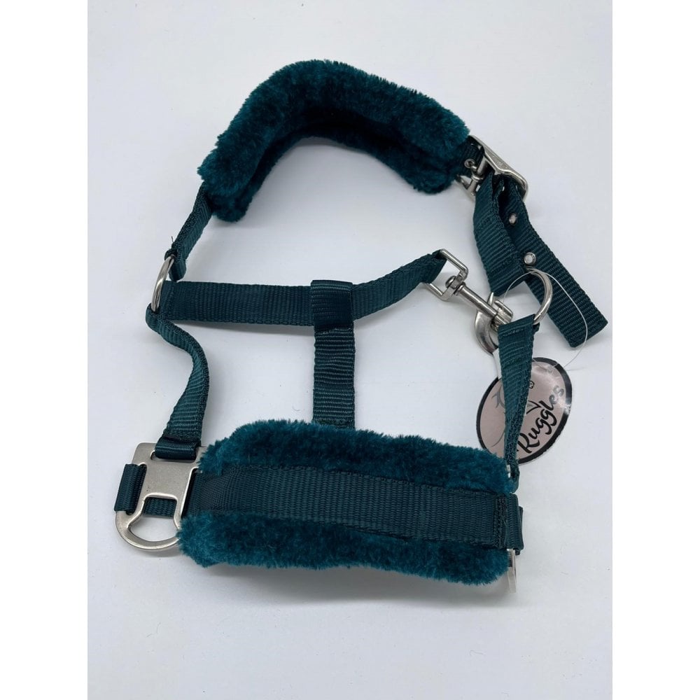 Shetland-Miniature Head Collar With Matching Fur