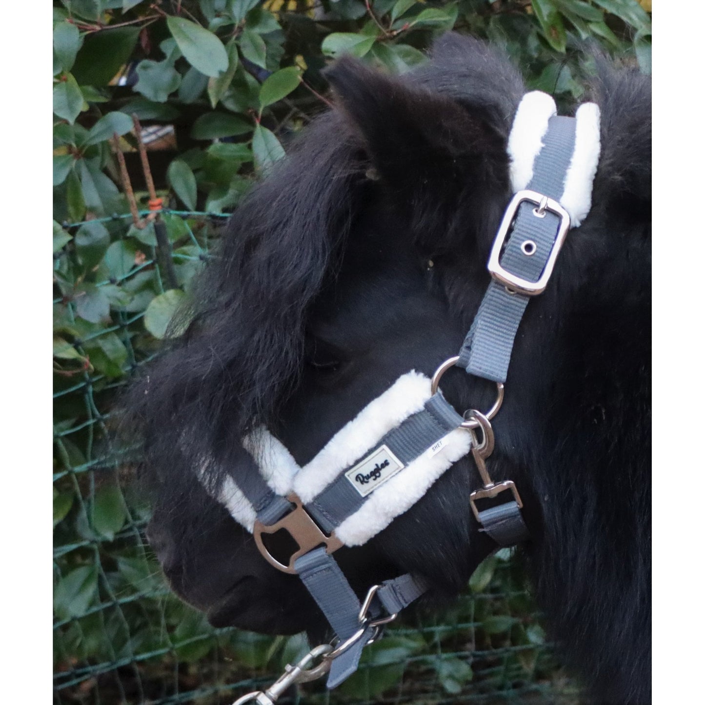 Shetland Head Collar With Contrast Fur