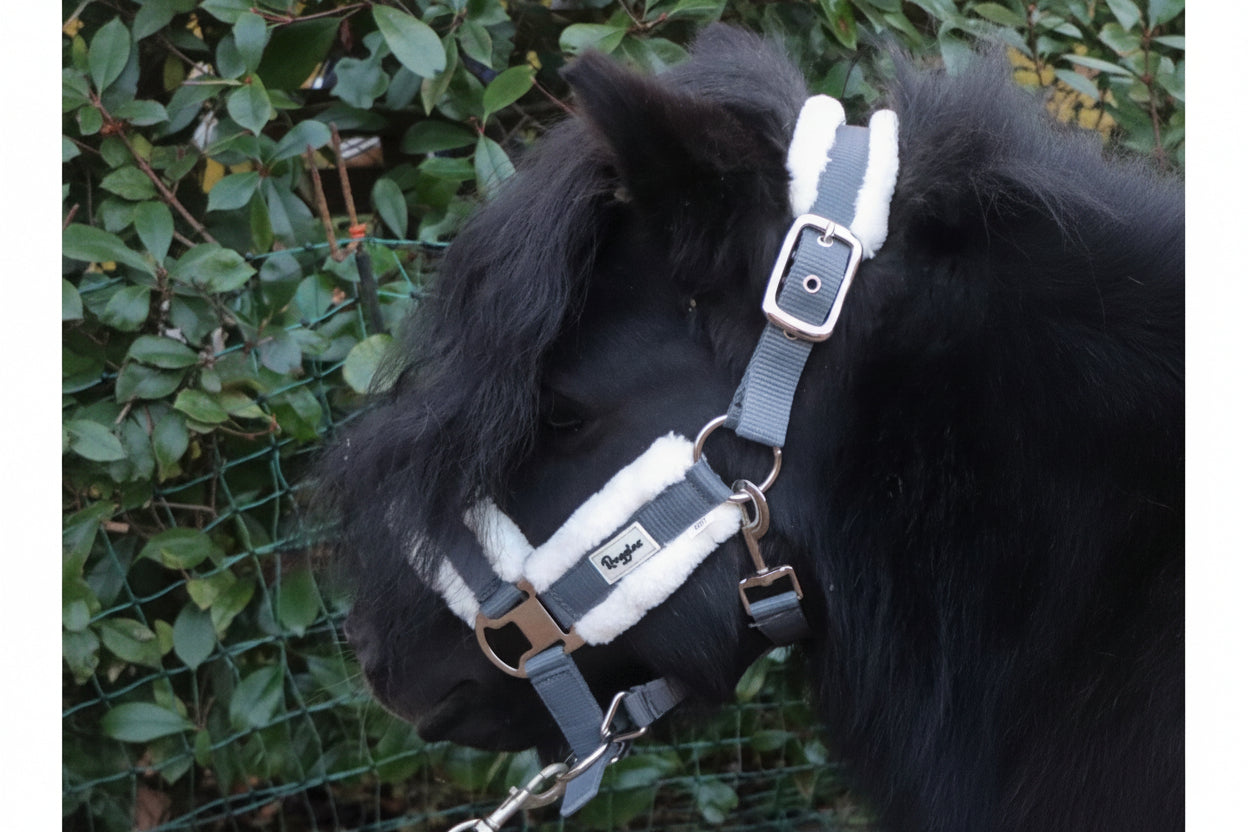 Shetland Head Collar With Contrast Fur