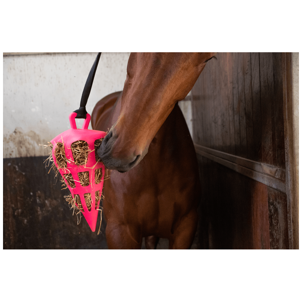 Hay Slow Feeder Fun and Flex Carrot