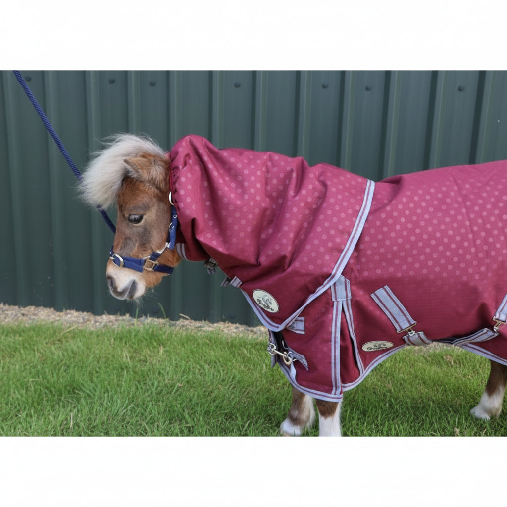 Shetland-Miniature-Donkey-Section A 100g V2 Neck Cover Only (Matching Rug Available Separately)