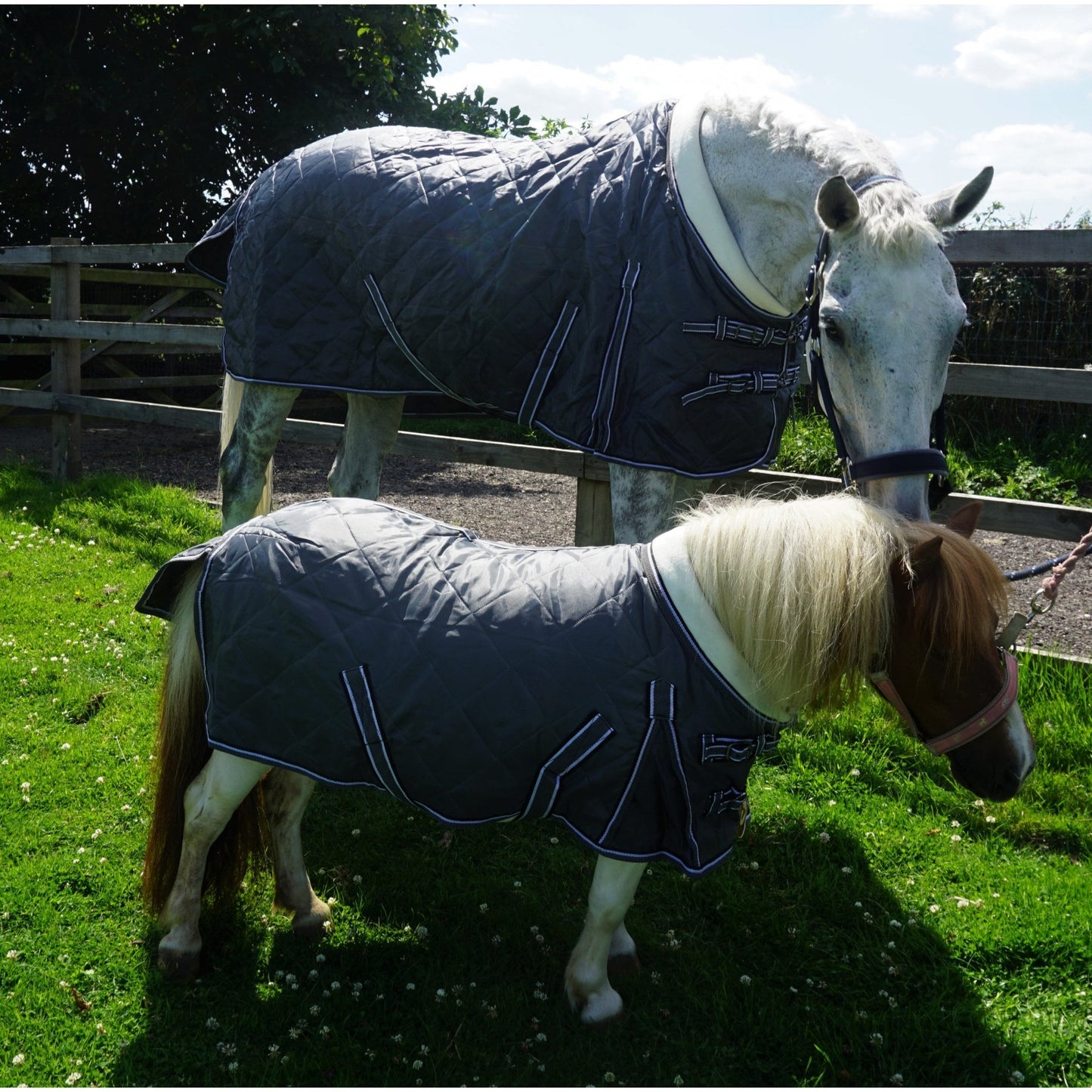 100g Lightweight Stable Rug With Fleece Collar