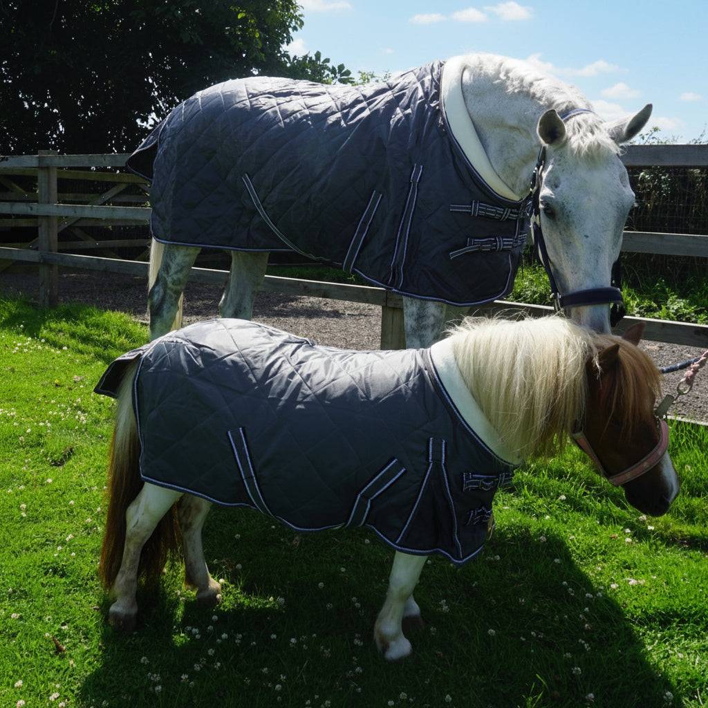 100g Lightweight Stable Rug With Fleece Collar