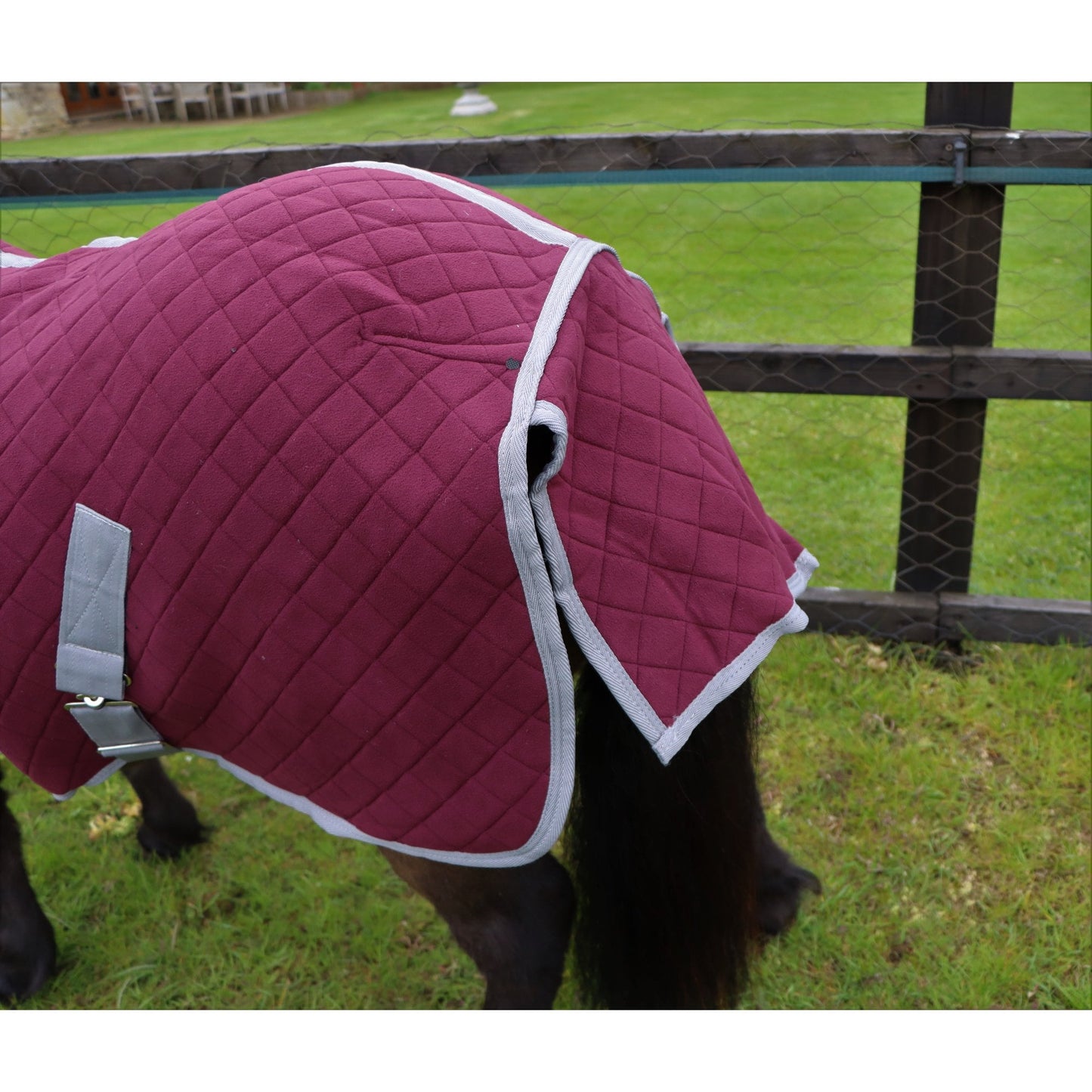 Shetland-Miniature-Donkey Triple Layer Wicking Rug