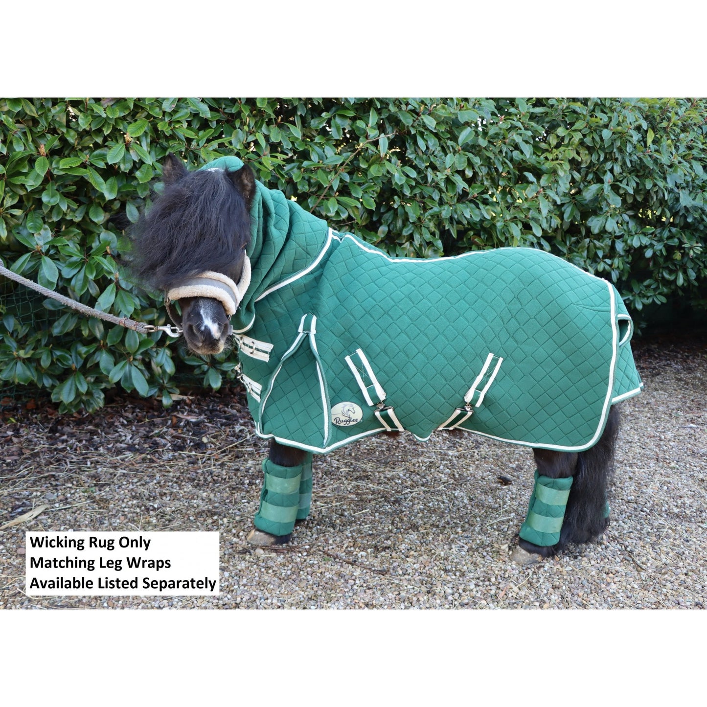 Shetland-Miniature-Donkey Combo Wicking Rug