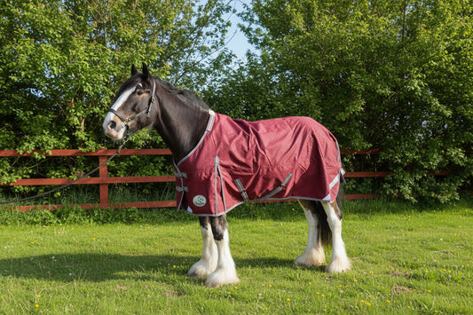 Heavy Horse 100g 1200D V2 Turnout Rug