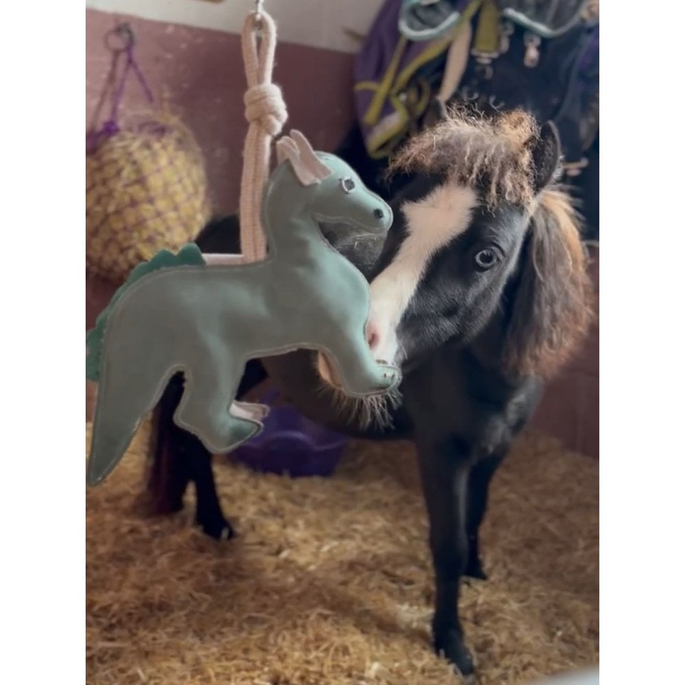 Horse Toy - Dinosaur