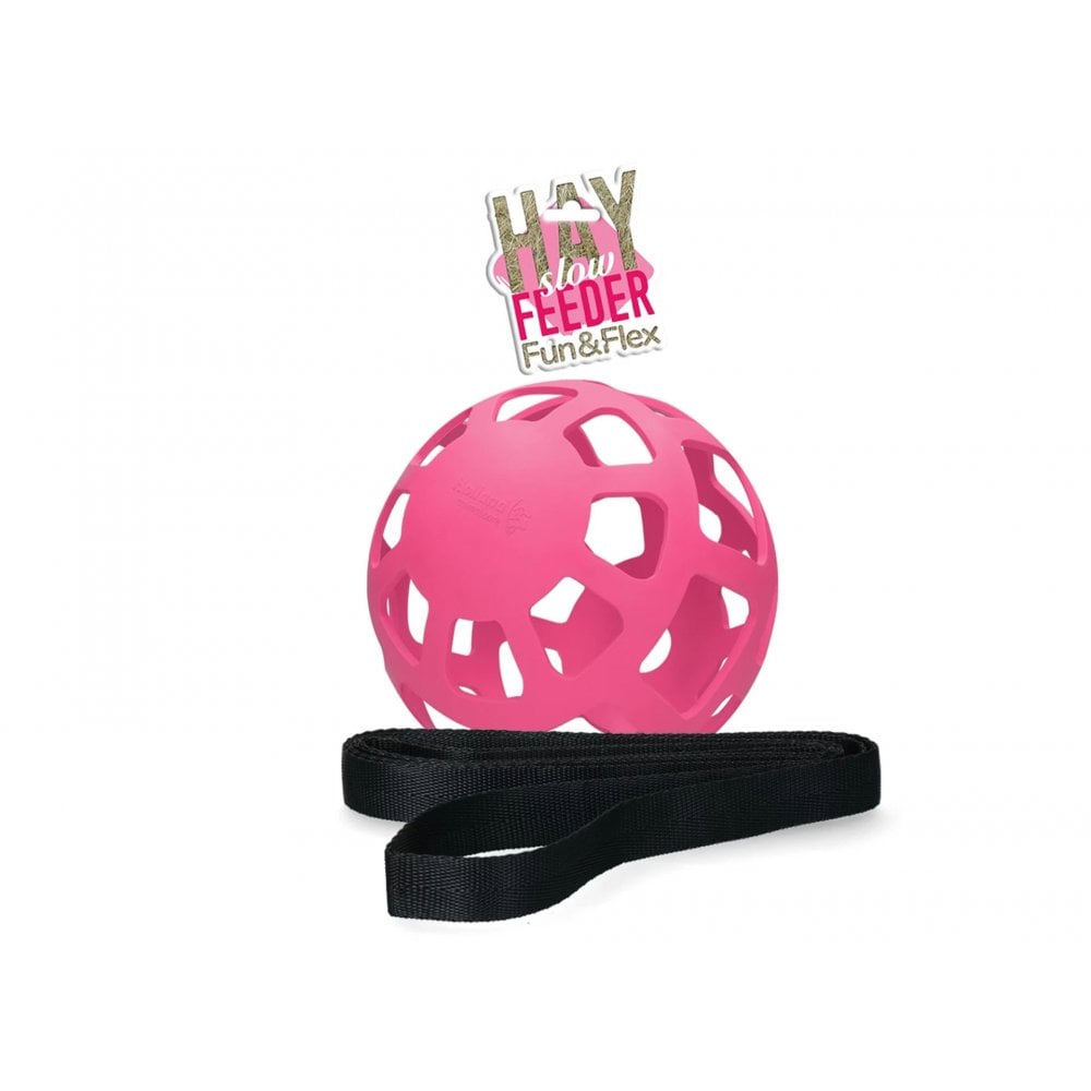 Hay Slow Feeder Fun and Flex 22cm Ball