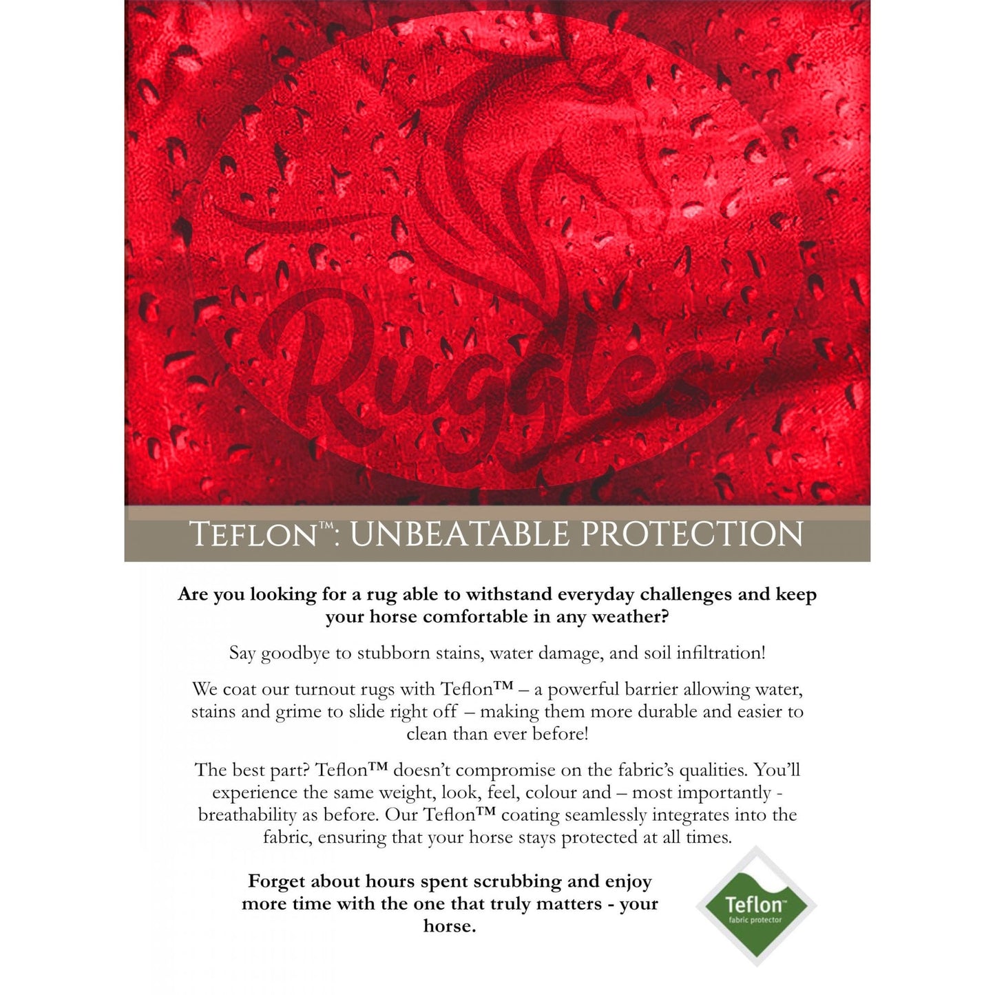 Shetland-Miniature-Donkey-Section A Lightweight No Fill Combo Turnout Rug