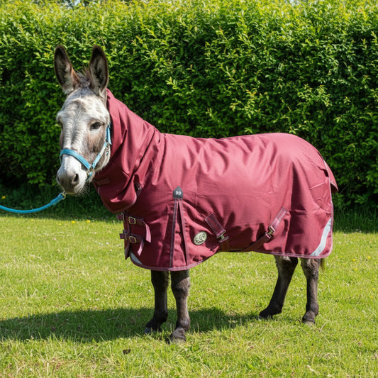 Shetland-Miniature-Donkey-Section A Lightweight No Fill Combo Turnout Rug