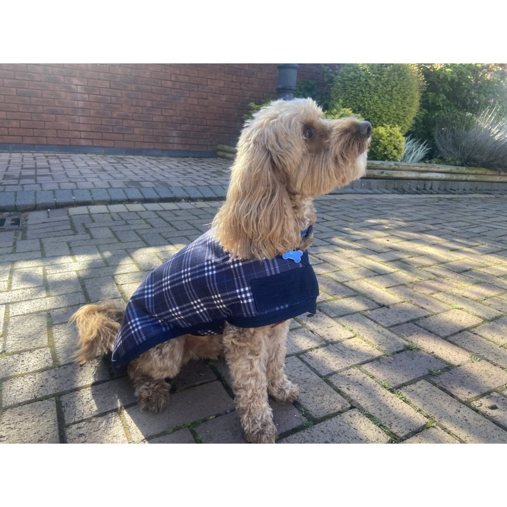 Waterproof Dog Coat