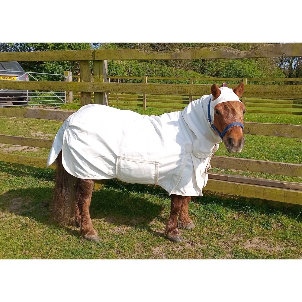 Shetland - Miniature UV Fly Rug Combo