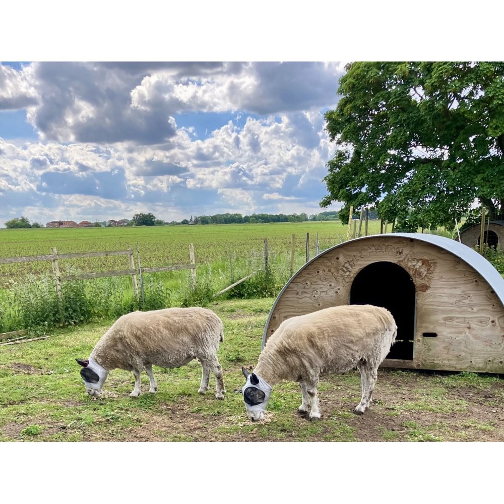 Lycra Pull On Fly Mask With Ears for Alpacas and Sheep