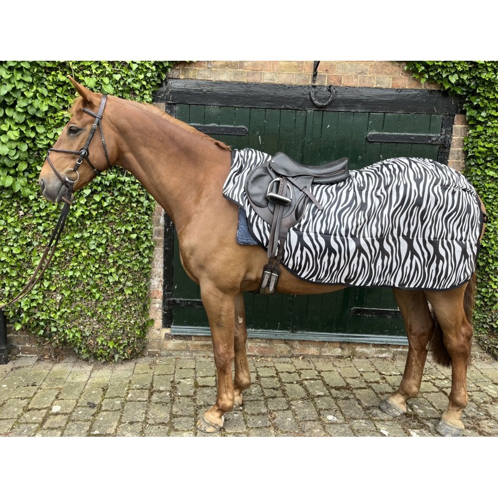 Ride On Mesh Fly Exercise Sheet