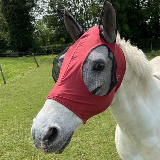 Horse And Pony Pull On Lycra Fly Mask