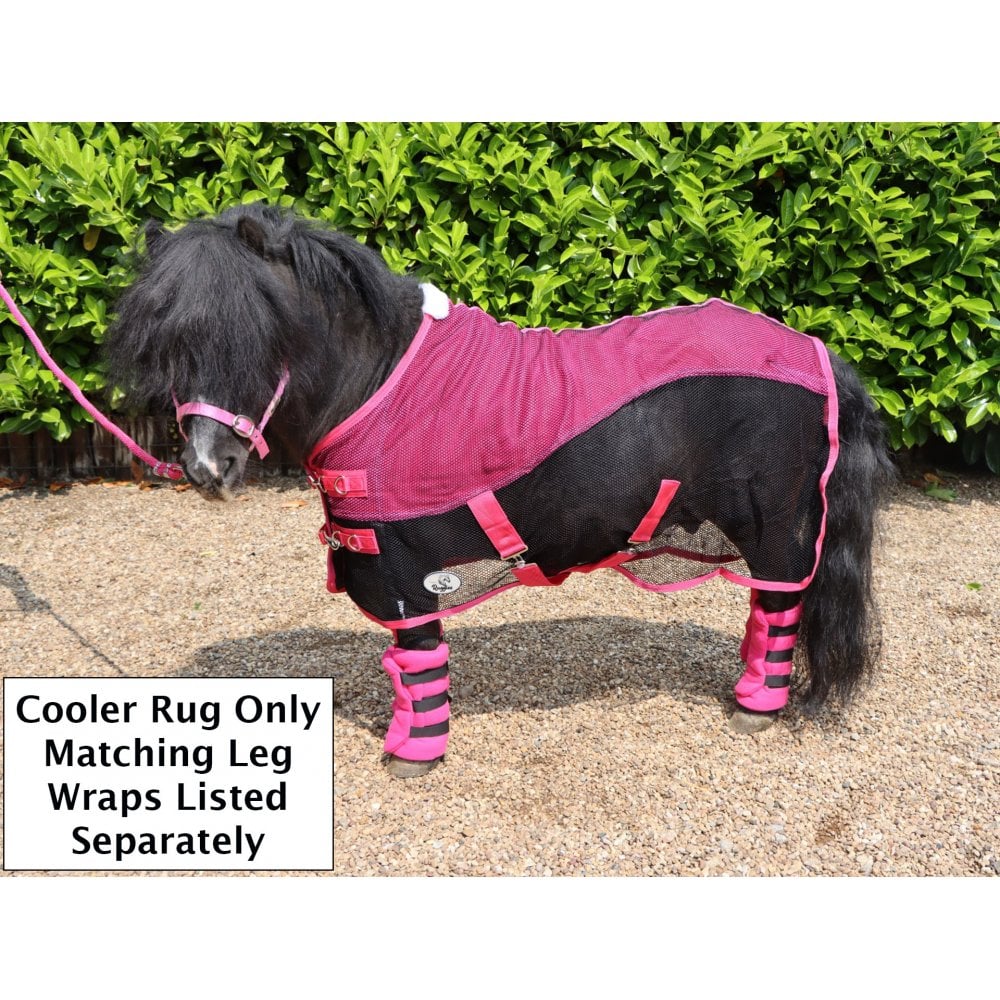 Shetland-Miniature-Donkey Mesh Cooler Rug