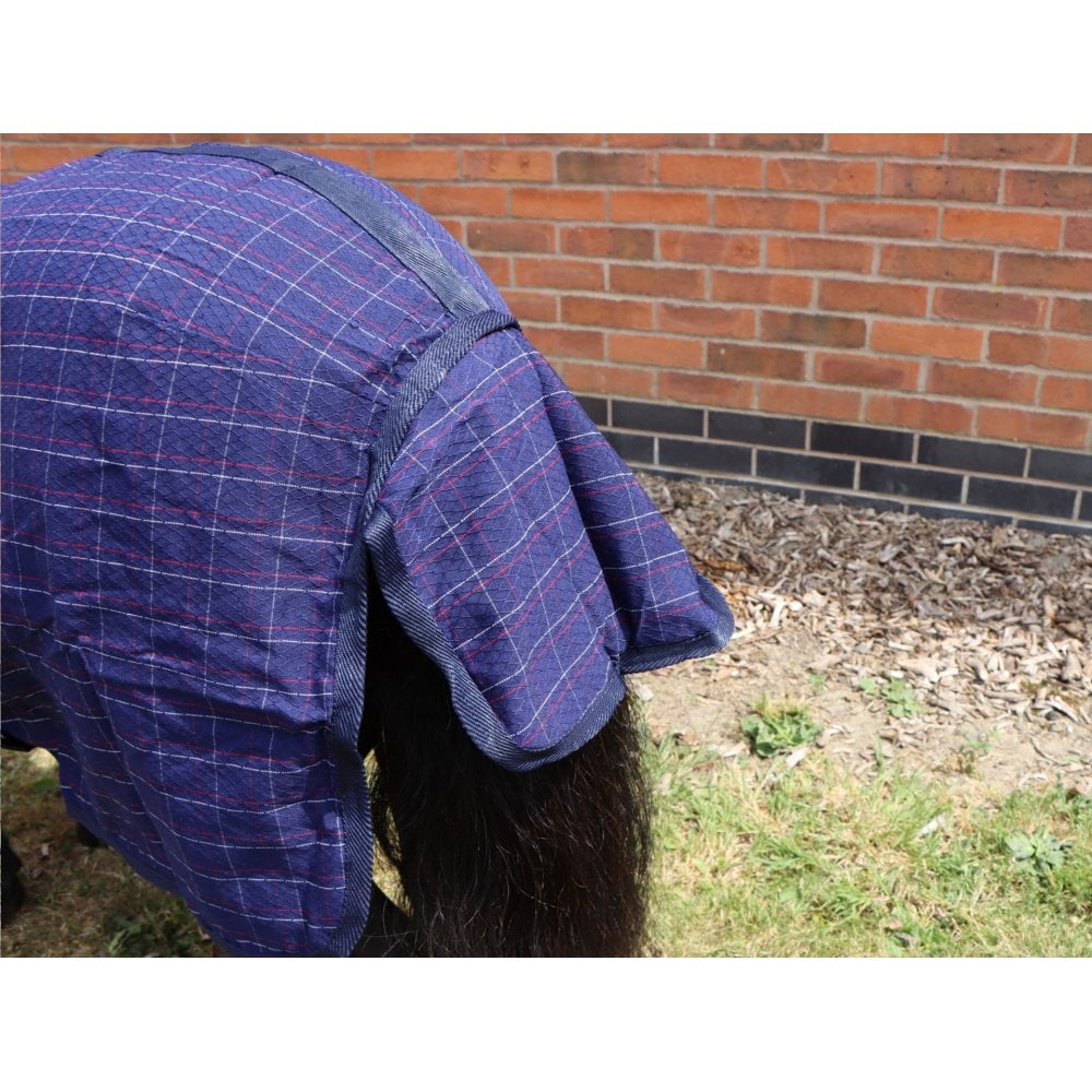 Shetland-Miniature-Donkey Cotton Sheet