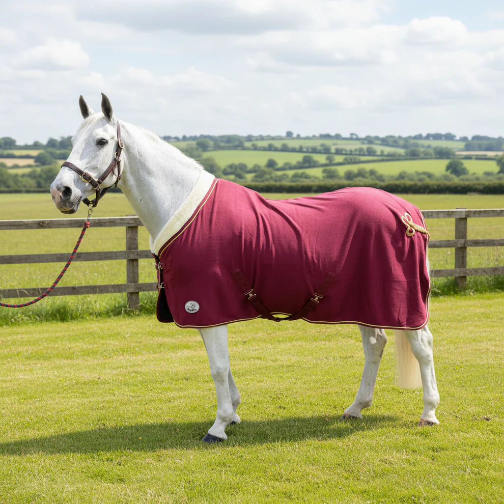 Shop Soiled 5'0 Burgundy Show Fleece