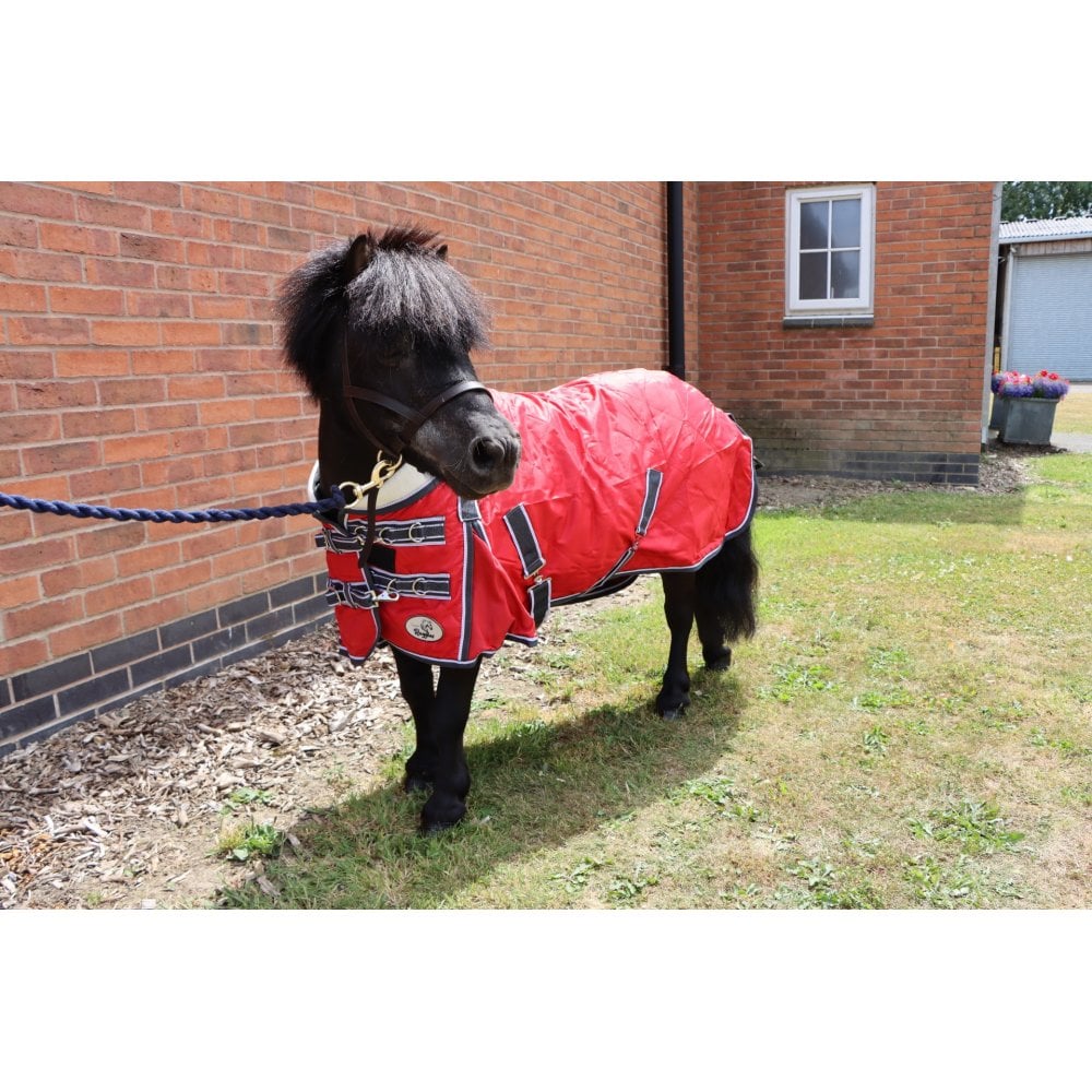 Shetland-Miniature-Donkey 50g Stable Rug