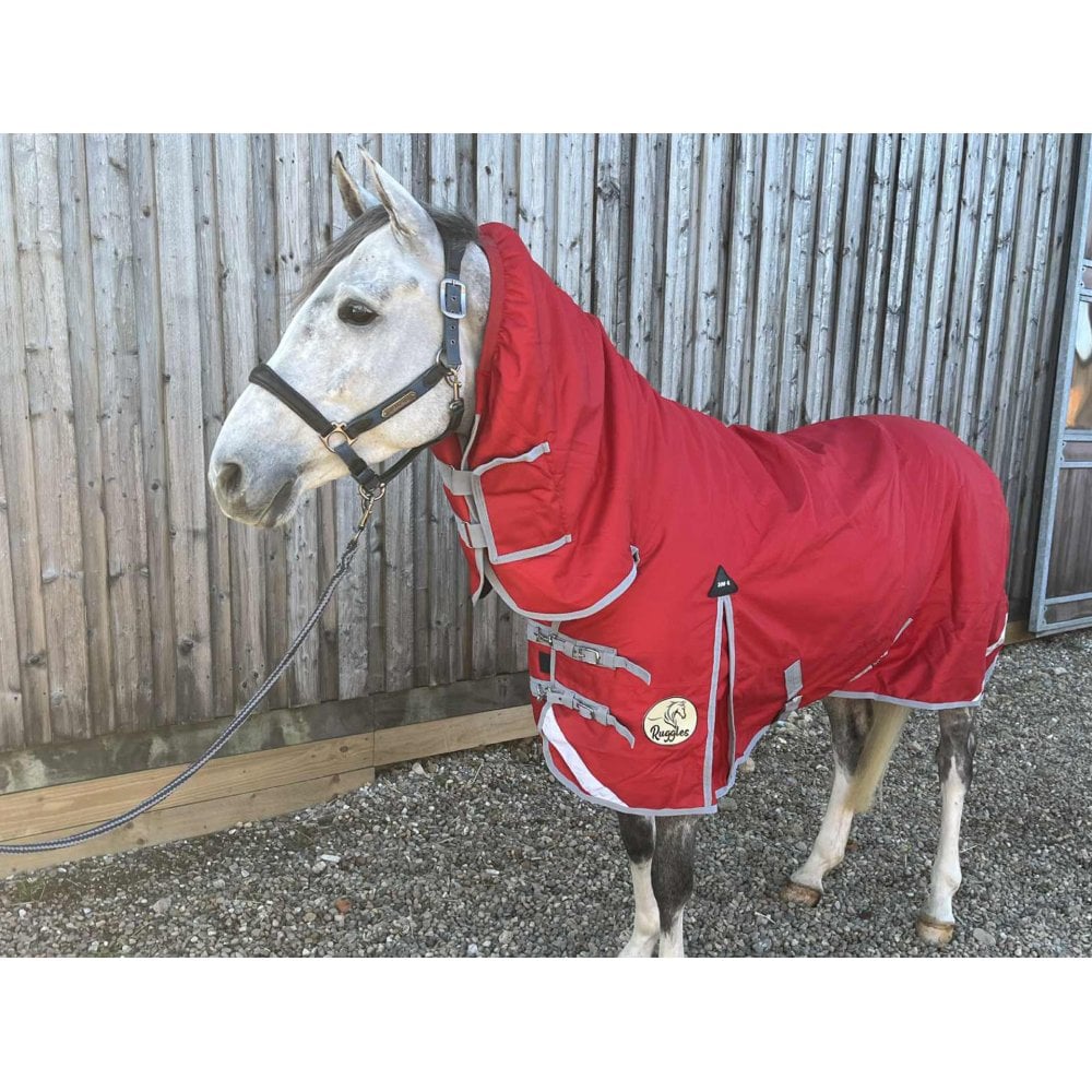 200g Middleweight Combo 1200D Turnout Rug