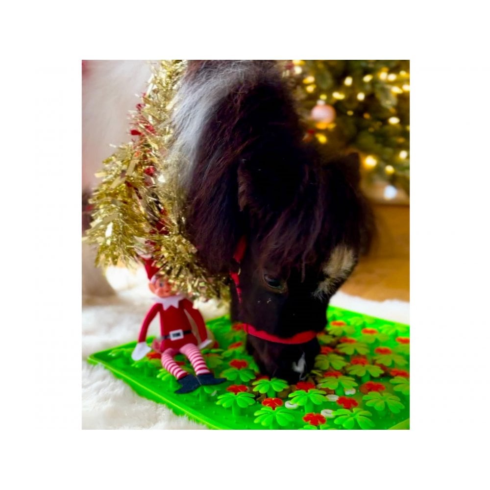 Horse-Pony-Shetland-Donkey Snuffle Treat Mat