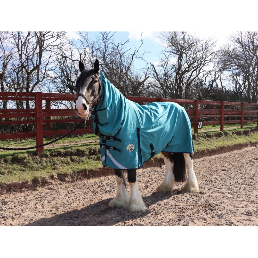 Heavy Horse Combo Turnout Rug 50g