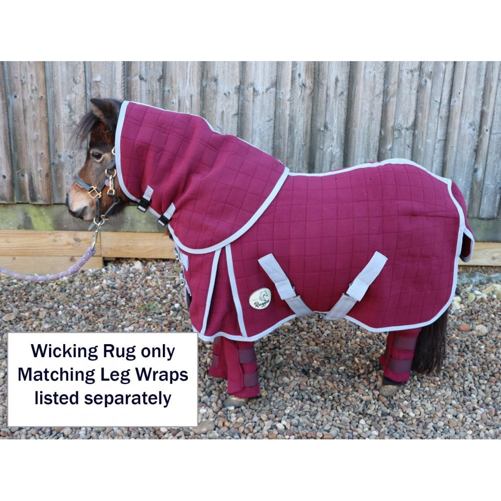 Shetland-Miniature-Donkey Triple Layer Wicking Rug With Detachable Neck