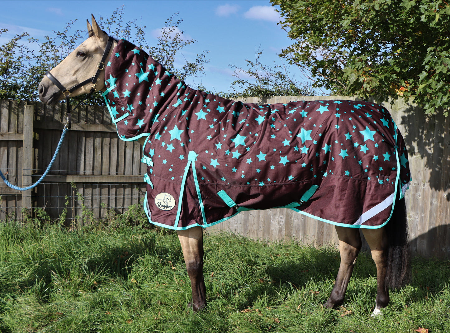 Shop Soiled 6'9 280g Combo Turnout Brown With Aqua Stars