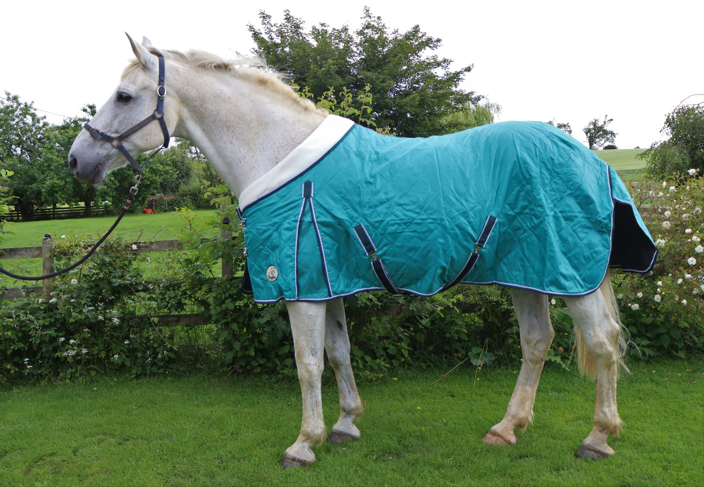 Shop Soiled Heavy Horse Teal 50g Stable Rug