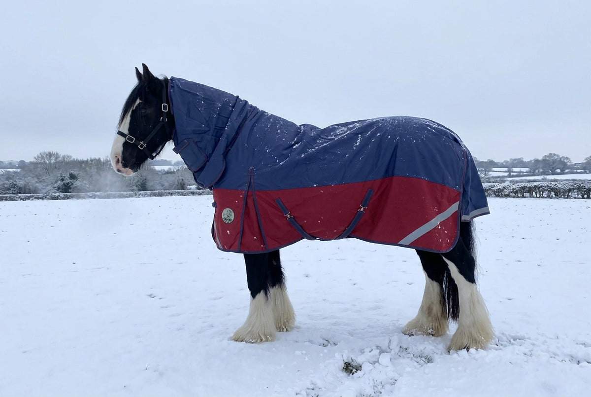 Heavy Horse 100g Combo Turnout Rug