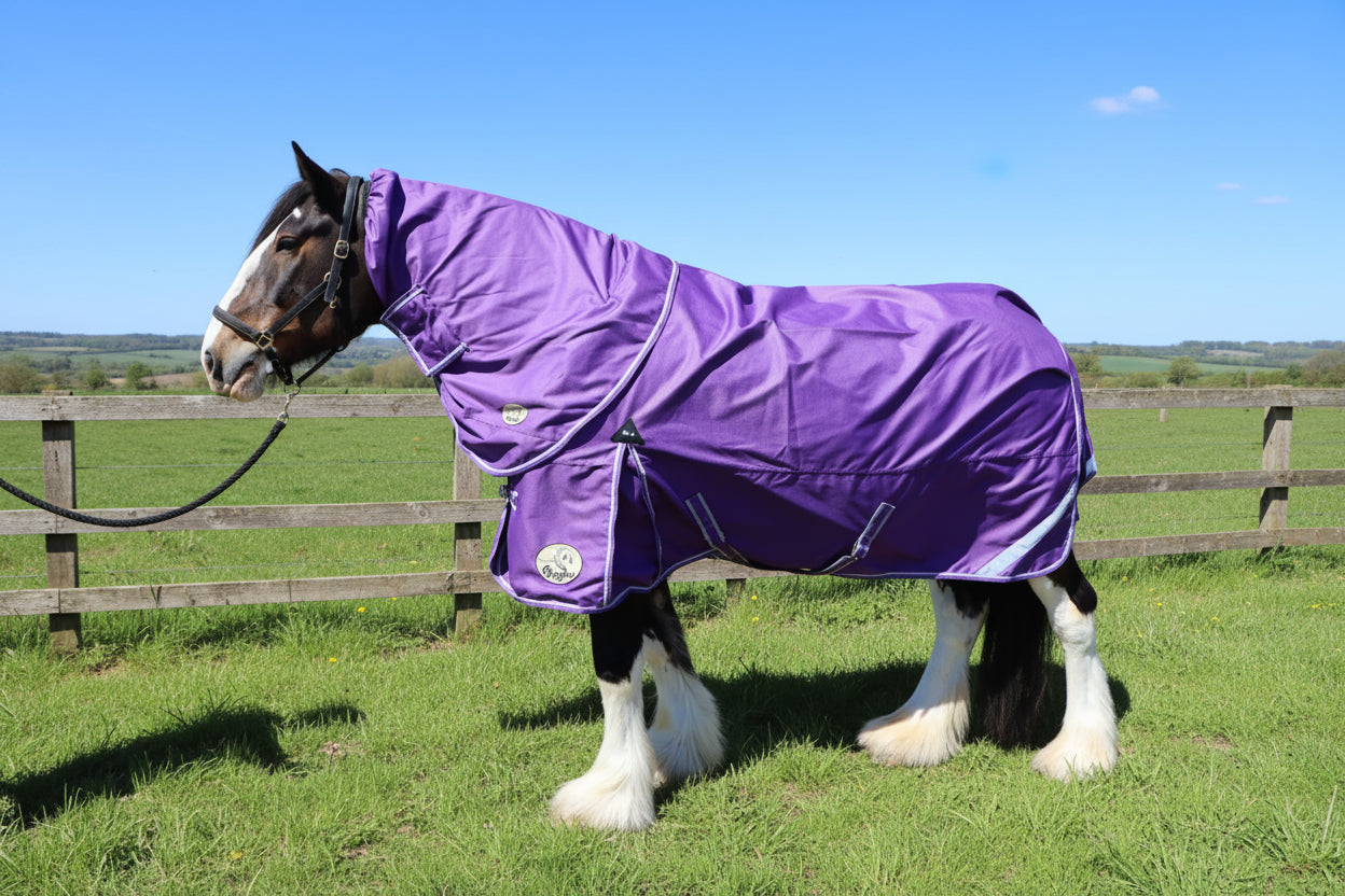 Heavy Horse 50g 1200D V2 Turnout Rug