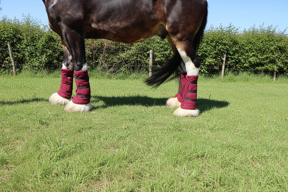 Shop Soiled Heavy Horse Large Fleece Leg Wraps Set of Four Navy And Set Of Four Burgundy