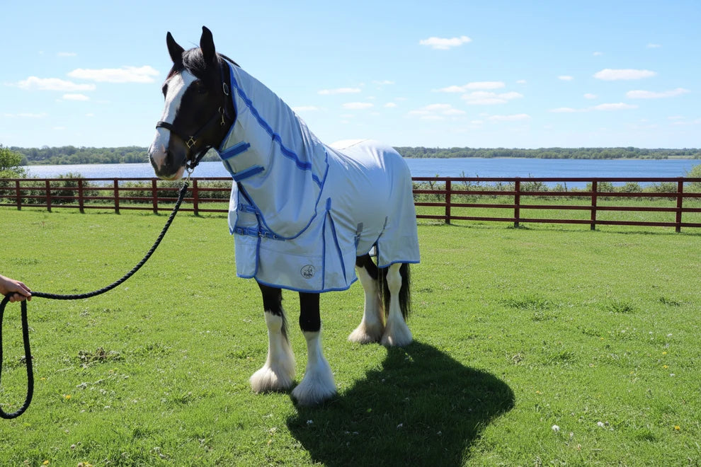 Shop Soiled Heavy Horse 6'6 Fly Rug With Detachable Neck
