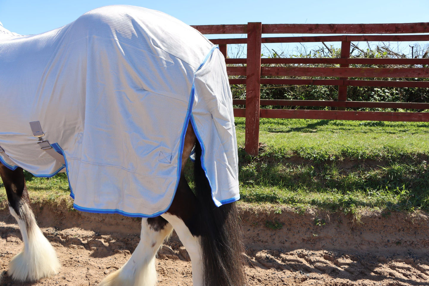 Heavy Horse Fly Rug And Neck Cover