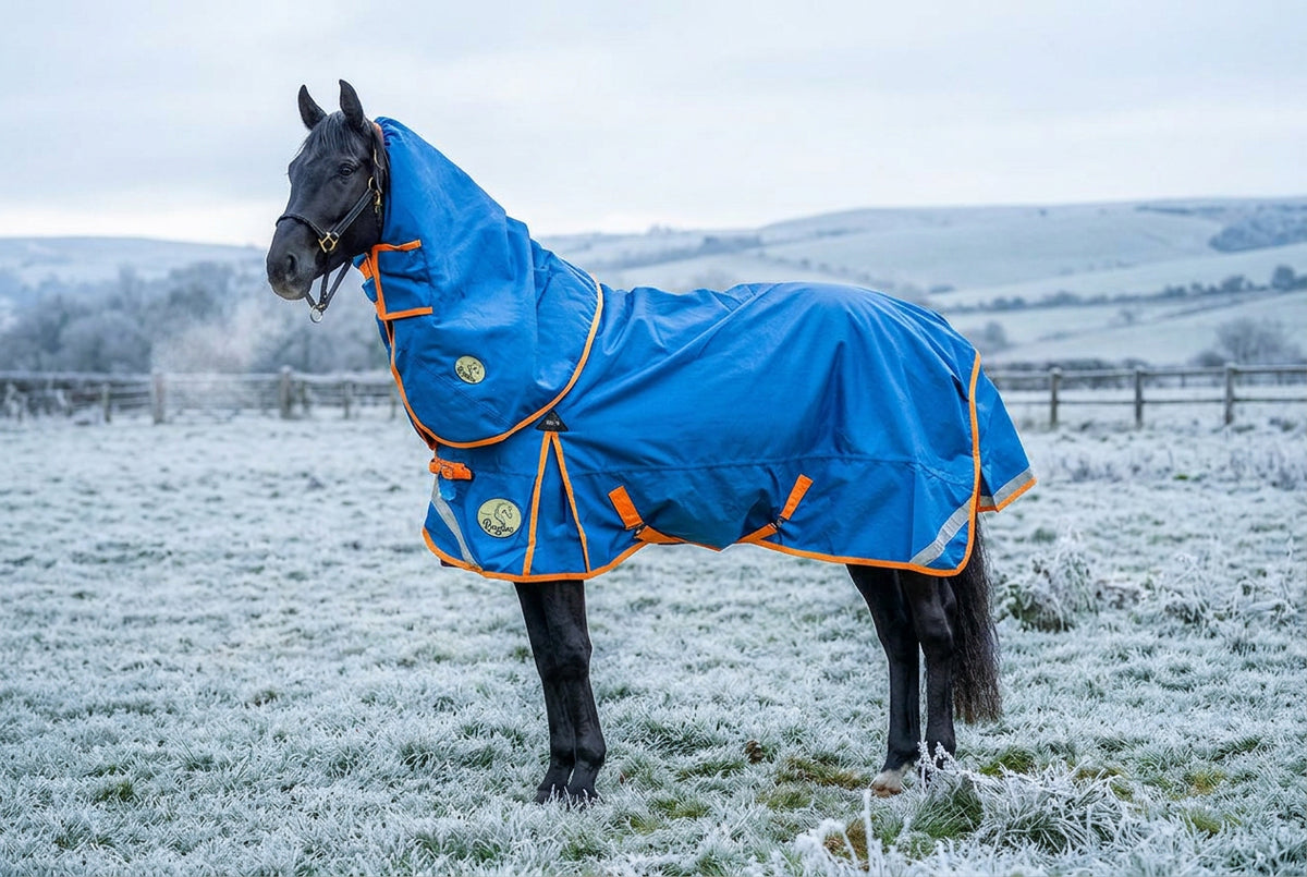 200g Middleweight 1200D V2 Standard Turnout Rug