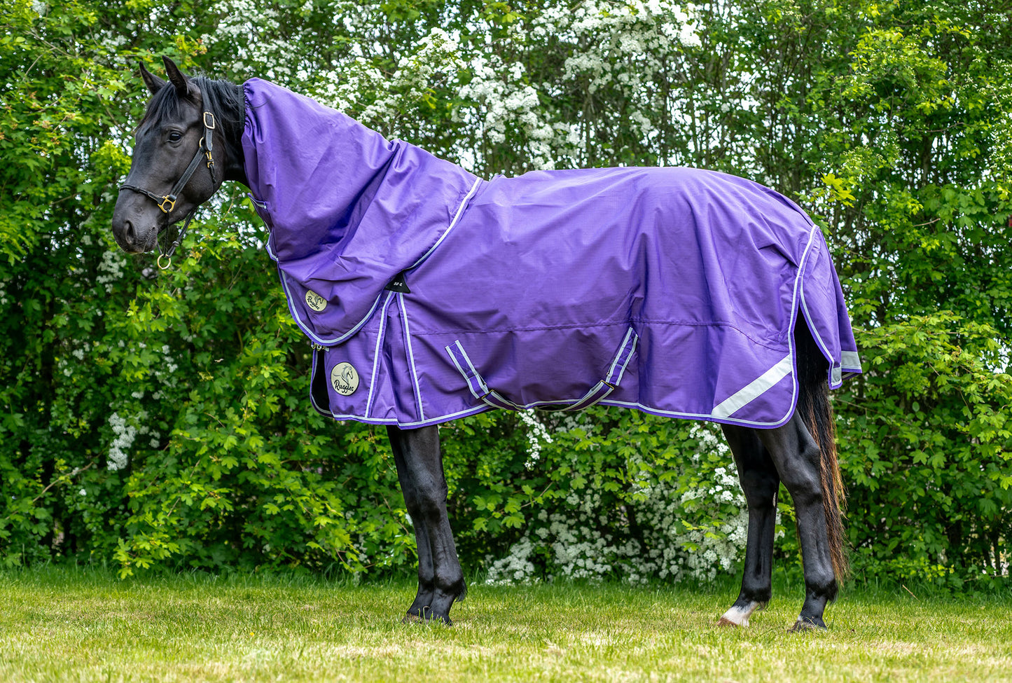 50g V2 Lightweight 1200D Standard Turnout Rug