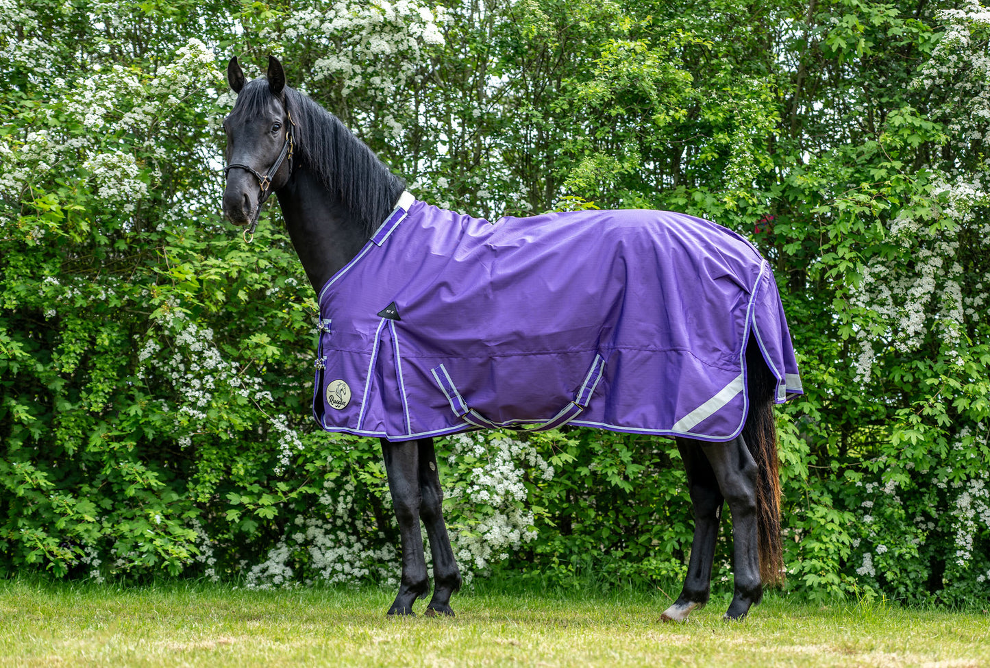 50G Lightweight 1200D V2 Neck Cover Only (Matching Rug Available Separately)