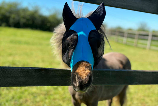 Shetland-Miniature-Section A Pull On Fly Mask With Ears