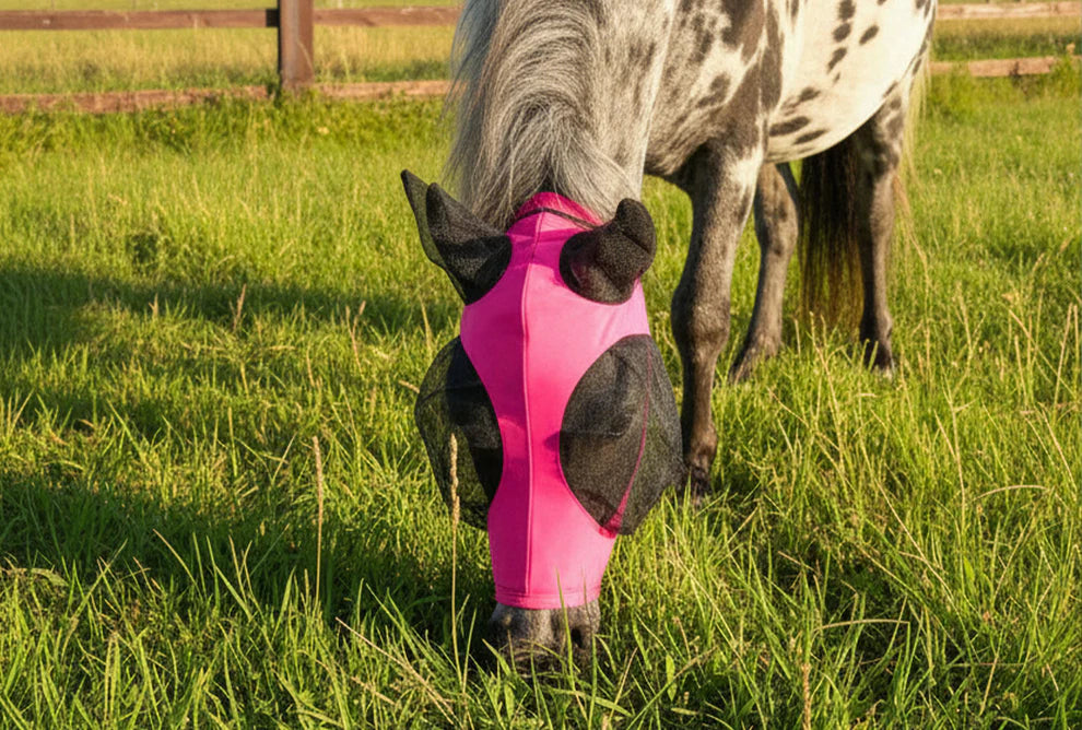 Shop Soiled White 2'9 UV Fly Combo Rug With A XX Mini Pink Lycra Fly Mask