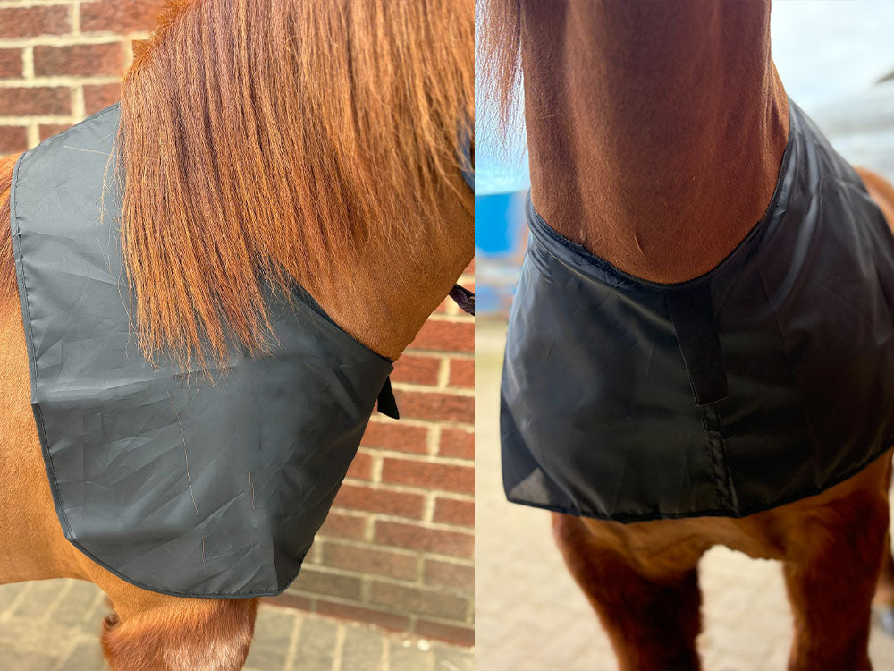 Shetland Satin Anti Rub Bib - Shoulder Guard