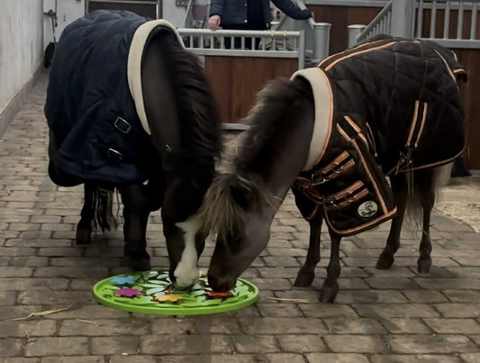 Horse-Pony-Shetland-Donkey Snuffle Treat Mat -Round