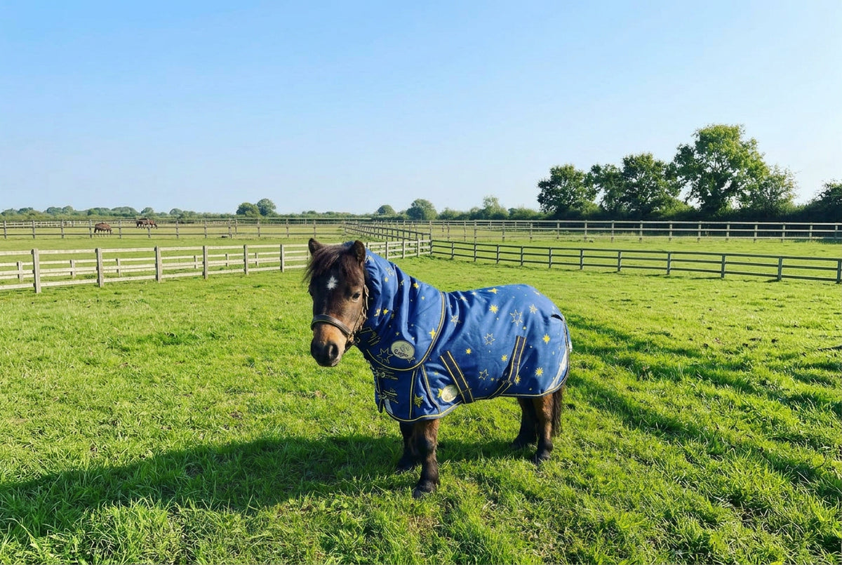 Shetland-Miniature-Donkey-Section A 200g V2 Middleweight 1200D Standard Turnout Rug