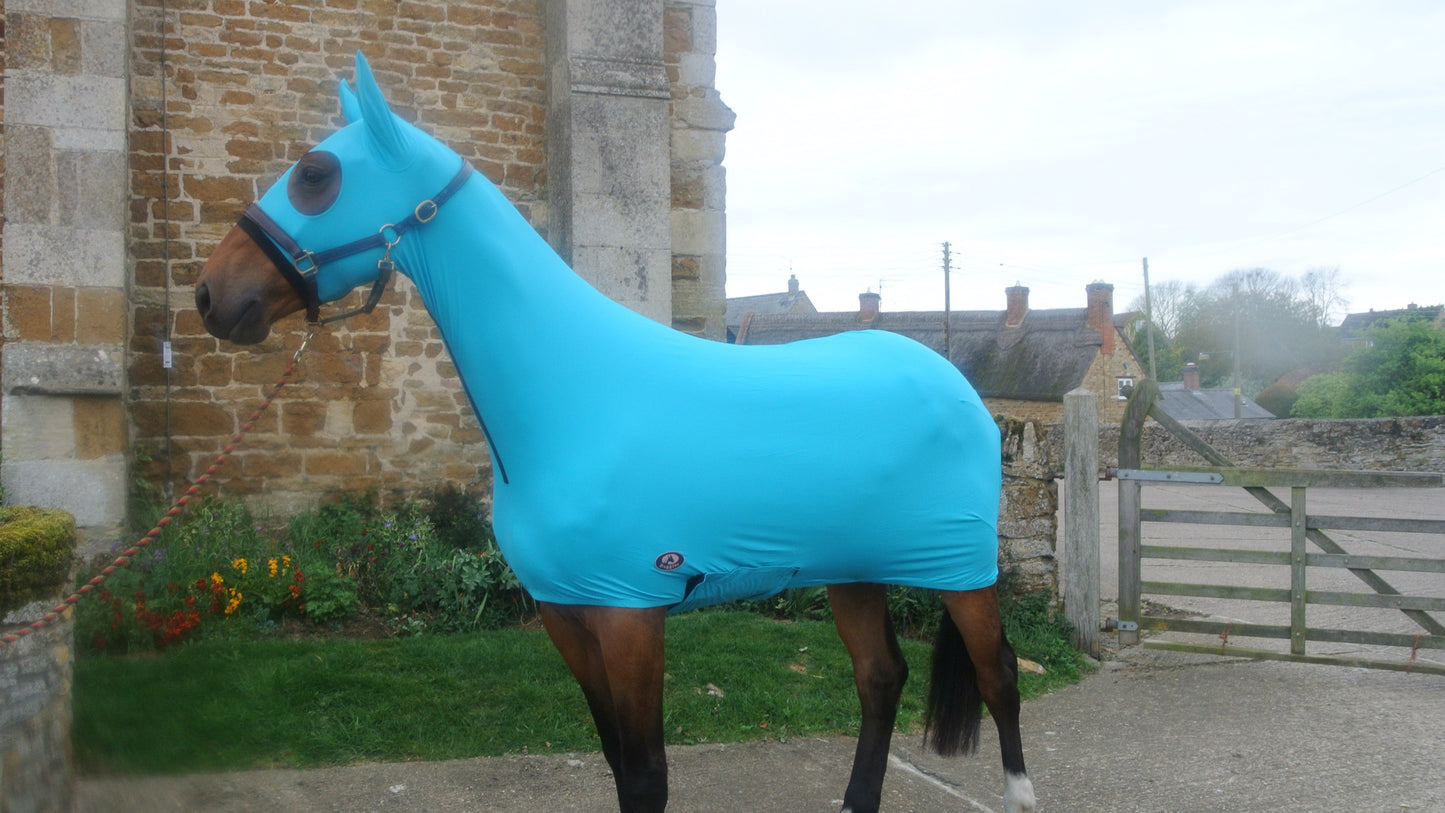 Shop Soiled XL NO EARS Aqua Lycra Body Suit.