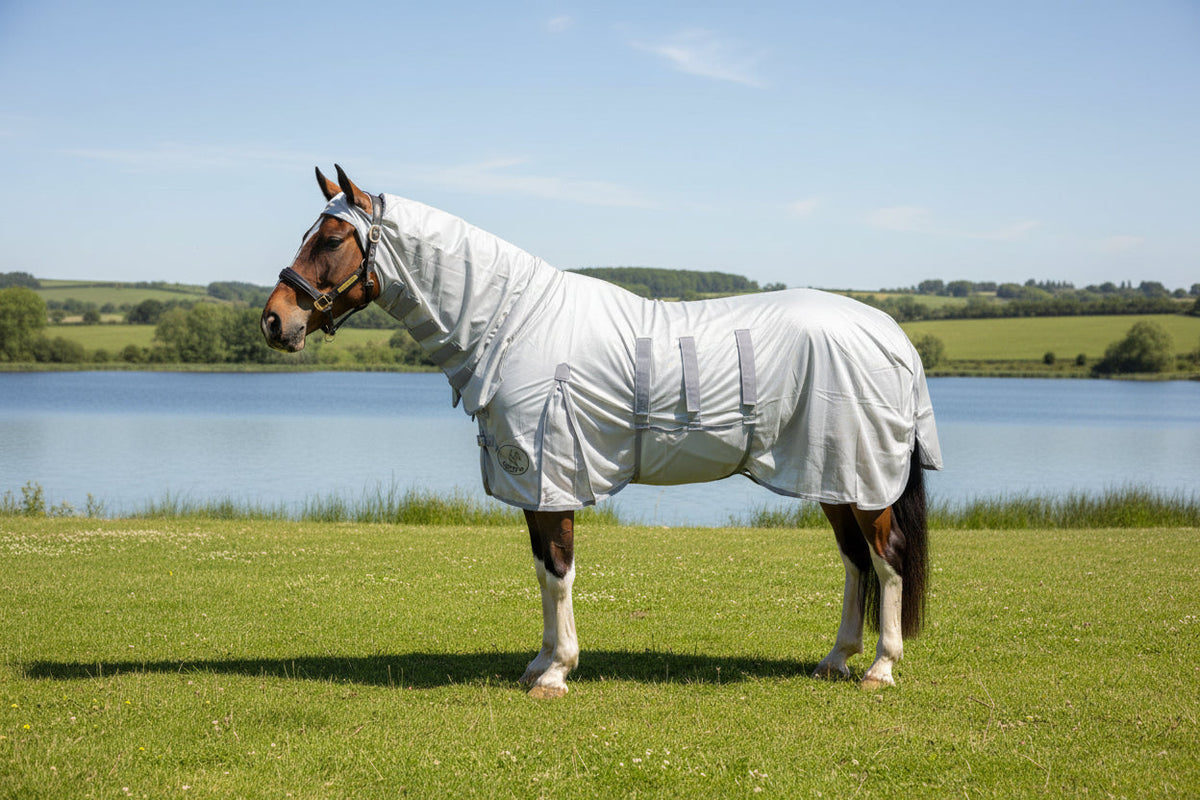 Horse Pony Rugs At Ruggles we have created a range of rugs perfectly ...